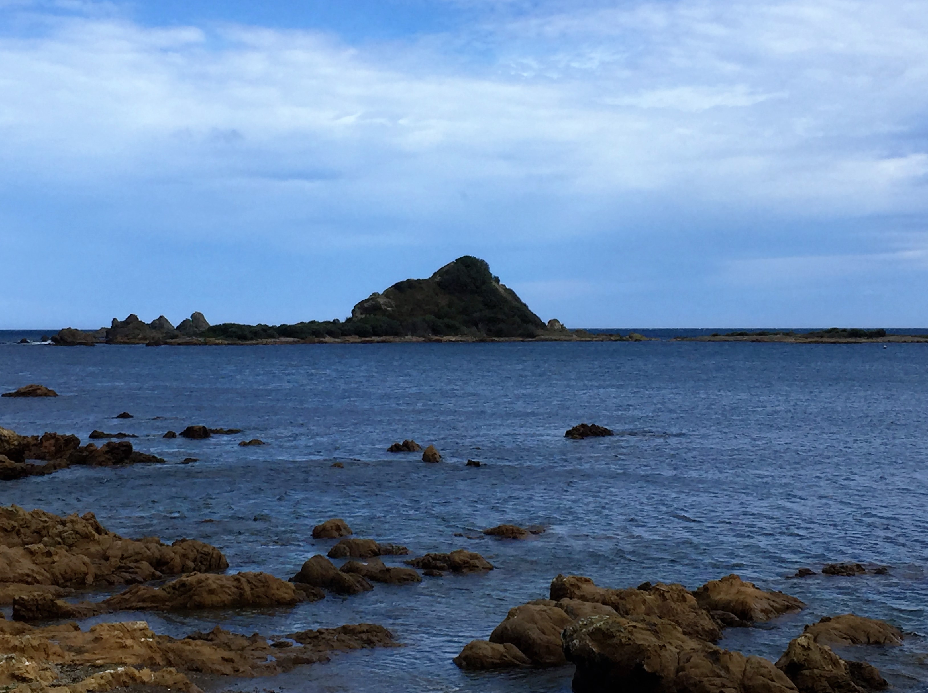 Island Bay, Wellington