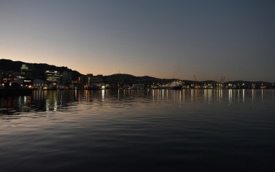 Shannon Campbell Wellington Harbour