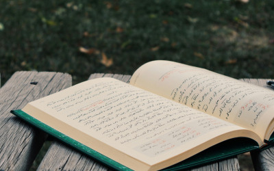 pexels bernahanim  1173268160 29256590 v2
