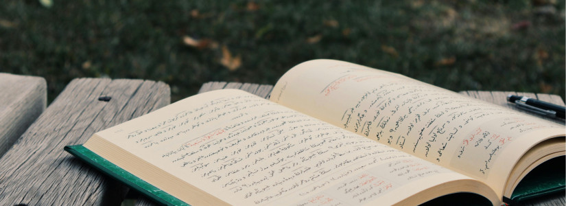 pexels bernahanim  1173268160 29256590 v2