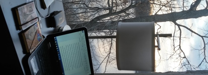 Blog 20
