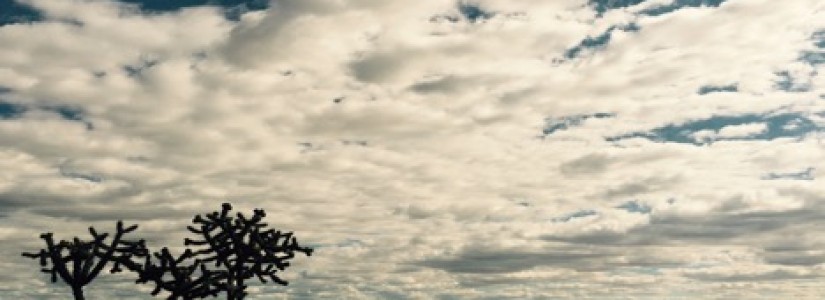 Blog 22