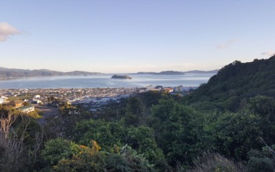 Blog 26