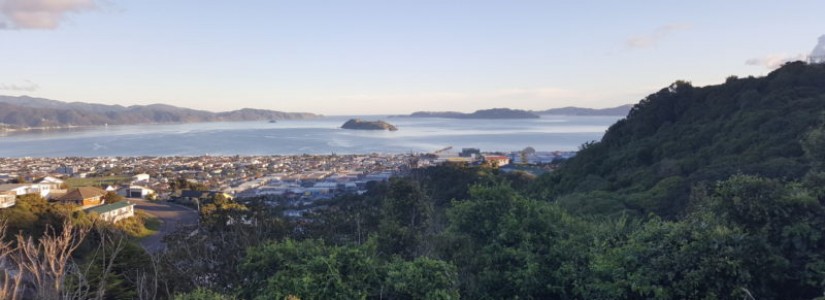 Blog 26