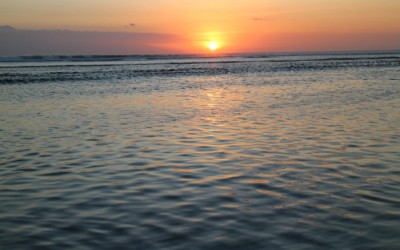 Blog 34