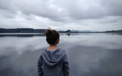 Blog 36