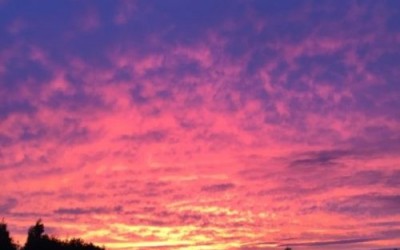 Blog 43
