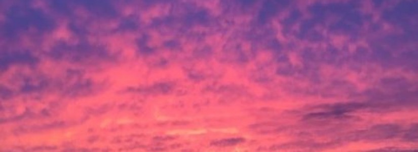Blog 43