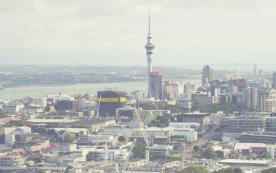 Blog 44
