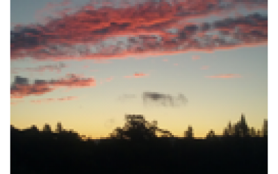 Blog 47