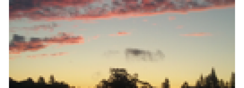 Blog 47