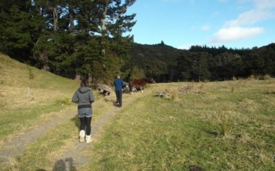 Blog 50
