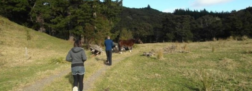 Blog 50
