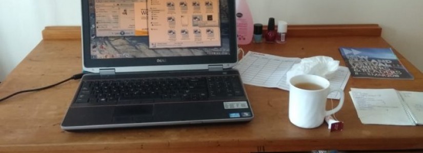 Blog 53